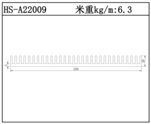 鎮(zhèn)江散熱器HS-A22009